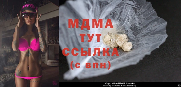 молекула духа Новозыбков