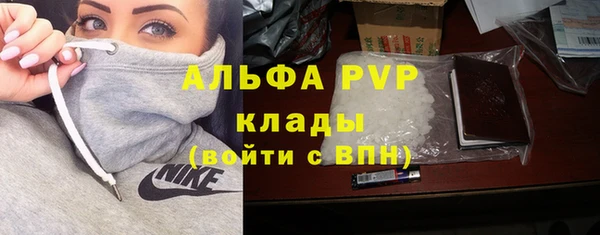 молекула духа Новозыбков
