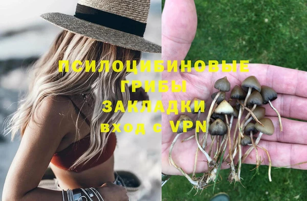 дурь Новодвинск
