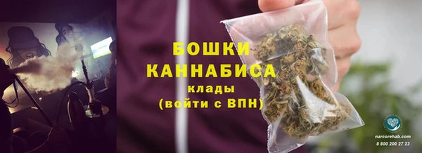 индика Новоульяновск