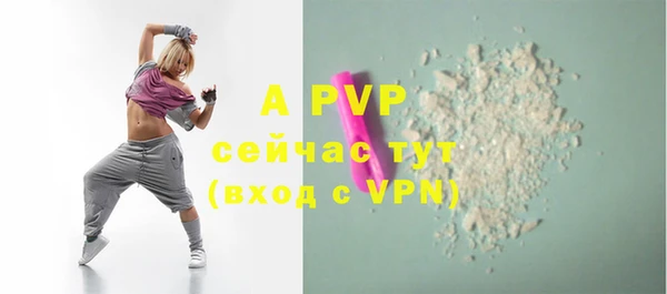 молекула духа Новозыбков