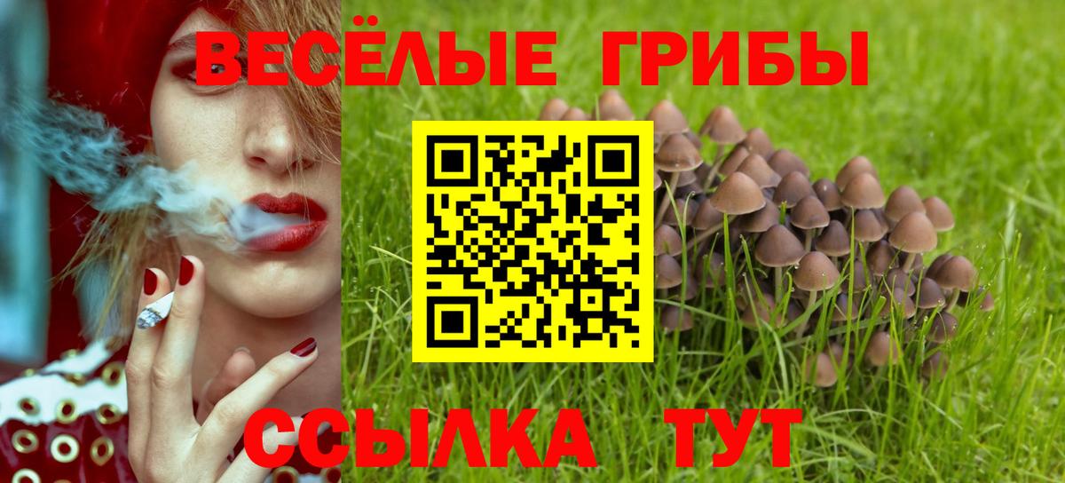 Стерлитамак  Галлюциногенные грибы MAGIC MUSHROOMS  Вход с VPN  Галлюциногенные грибы Cubensis 